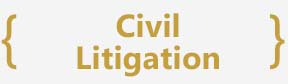 Civil Litigation