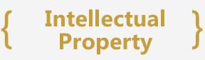 Intellectual Property